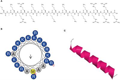 The antibacterial activity and mechanism of a novel peptide MR-22 against multidrug-resistant Escherichia coli